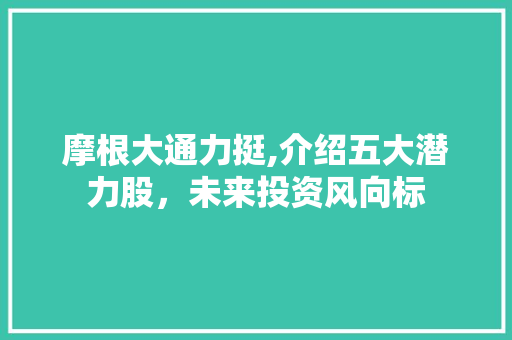 摩根大通力挺,介绍五大潜力股,未来投资风向标 摩根大通力挺,介绍五大潜力股,未来投资风向标