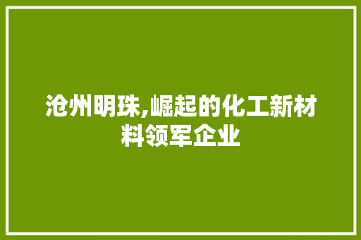 沧州明珠,崛起的化工新材料领军企业 沧州明珠,崛起的化工新材料领军企业