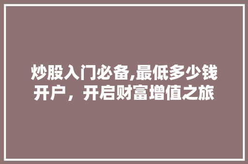 炒股入门必备,最低多少钱开户,开启财富增值之旅 炒股入门必备,最低多少钱开户,开启财富增值之旅