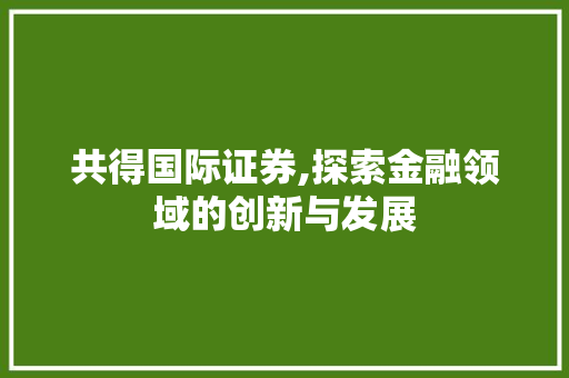 共得国际证券,探索金融领域的创新与发展 共得国际证券,探索金融领域的创新与发展