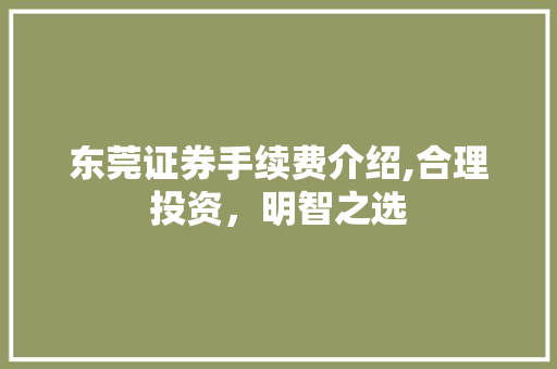 东莞证券手续费介绍,合理投资,明智之选 东莞证券手续费介绍,合理投资,明智之选