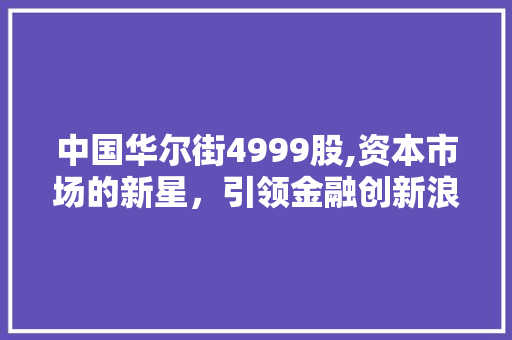 中国华尔街4999股,资本市场的新星,引领金融创新浪潮 中国华尔街4999股,资本市场的新星,引领金融创新浪潮
