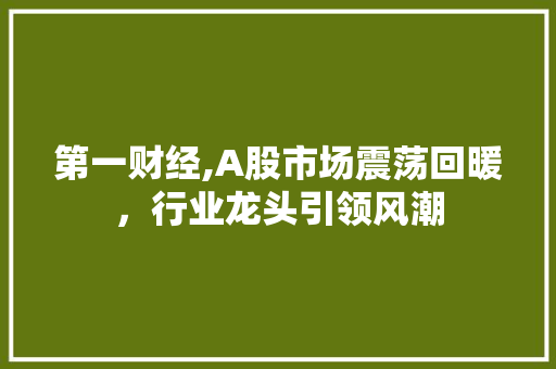 第一财经,A股市场震荡回暖,行业龙头引领风潮 第一财经,A股市场震荡回暖,行业龙头引领风潮