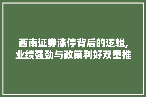 西南证券涨停背后的逻辑,业绩强劲与政策利好双重推动 西南证券涨停背后的逻辑,业绩强劲与政策利好双重推动