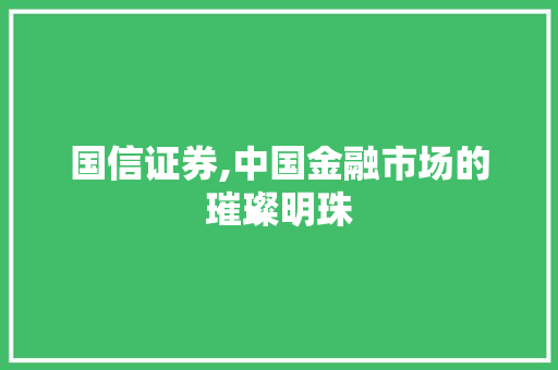 国信证券,中国金融市场的璀璨明珠 国信证券,中国金融市场的璀璨明珠