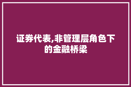 证券代表,非管理层角色下的金融桥梁