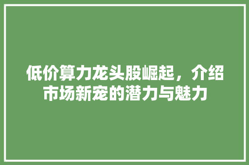 低价算力龙头股崛起,介绍市场新宠的潜力与魅力 低价算力龙头股崛起,介绍市场新宠的潜力与魅力