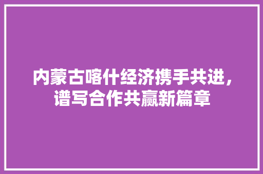 内蒙古喀什经济携手共进,谱写合作共赢新篇章 内蒙古喀什经济携手共进,谱写合作共赢新篇章