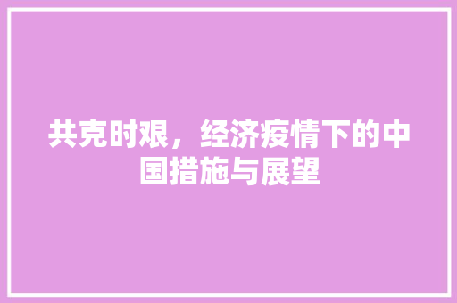 共克时艰,经济疫情下的中国措施与展望 共克时艰,经济疫情下的中国措施与展望