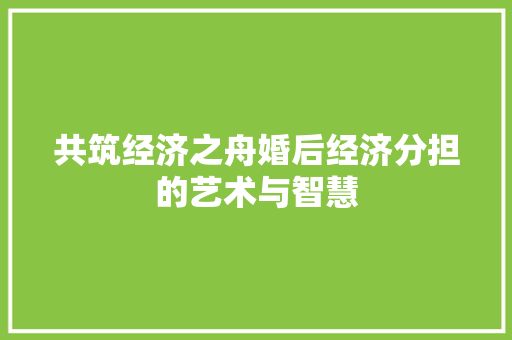 共筑经济之舟婚后经济分担的艺术与智慧 共筑经济之舟婚后经济分担的艺术与智慧