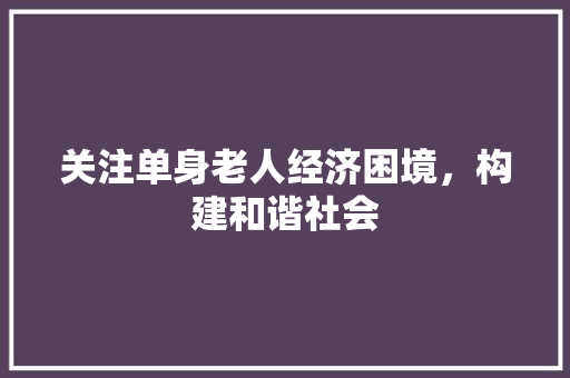 关注单身老人经济困境,构建和谐社会 关注单身老人经济困境,构建和谐社会