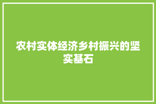 农村实体经济乡村振兴的坚实基石 农村实体经济乡村振兴的坚实基石