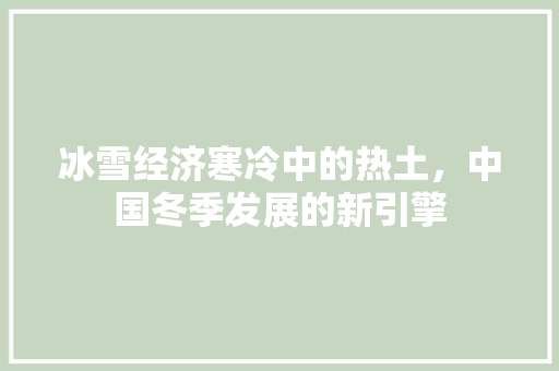 冰雪经济寒冷中的热土,中国冬季发展的新引擎 冰雪经济寒冷中的热土,中国冬季发展的新引擎