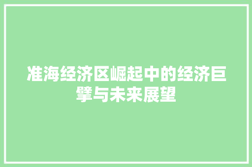 准海经济区崛起中的经济巨擘与未来展望 准海经济区崛起中的经济巨擘与未来展望