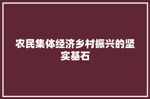 农民集体经济乡村振兴的坚实基石 农民集体经济乡村振兴的坚实基石