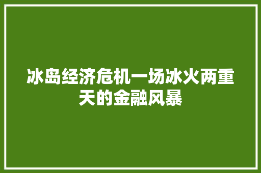 冰岛经济危机一场冰火两重天的金融风暴 冰岛经济危机一场冰火两重天的金融风暴