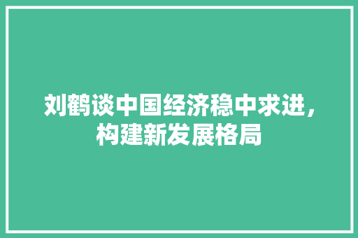 刘鹤谈中国经济稳中求进,构建新发展格局 刘鹤谈中国经济稳中求进,构建新发展格局