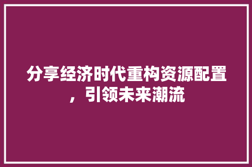 分享经济时代重构资源配置,引领未来潮流 分享经济时代重构资源配置,引领未来潮流