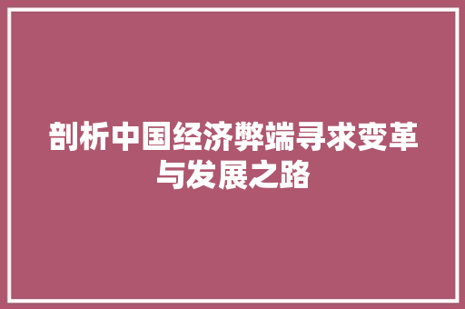 剖析中国经济弊端寻求变革与发展之路 剖析中国经济弊端寻求变革与发展之路