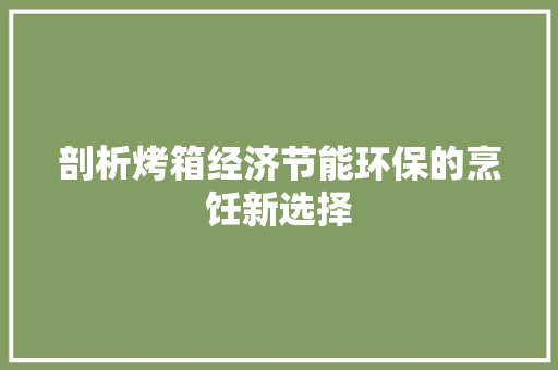 剖析烤箱经济节能环保的烹饪新选择 剖析烤箱经济节能环保的烹饪新选择