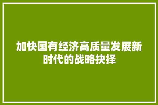 加快国有经济高质量发展新时代的战略抉择 加快国有经济高质量发展新时代的战略抉择