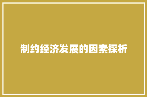 制约经济发展的因素探析 制约经济发展的因素探析