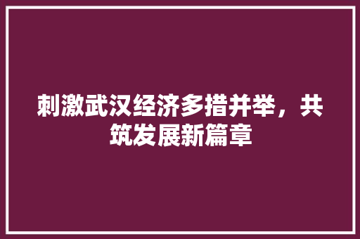 刺激武汉经济多措并举,共筑发展新篇章 刺激武汉经济多措并举,共筑发展新篇章