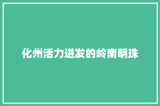 化州活力迸发的岭南明珠 化州活力迸发的岭南明珠