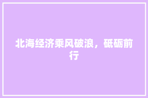 北海经济乘风破浪,砥砺前行 北海经济乘风破浪,砥砺前行