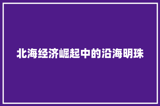 北海经济崛起中的沿海明珠 北海经济崛起中的沿海明珠