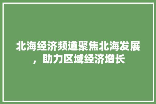 北海经济频道聚焦北海发展，助力区域经济增长