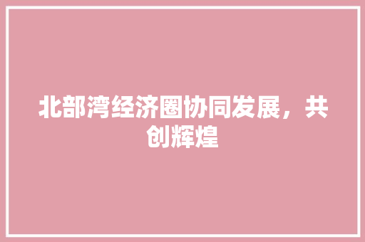 北部湾经济圈协同发展,共创辉煌 北部湾经济圈协同发展,共创辉煌