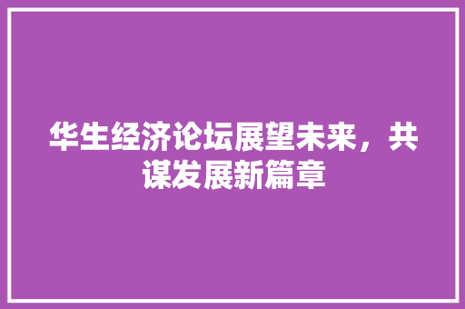 华生经济论坛展望未来,共谋发展新篇章 华生经济论坛展望未来,共谋发展新篇章