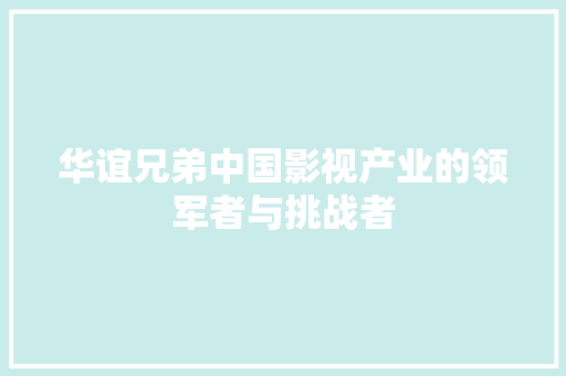 华谊兄弟中国影视产业的领军者与挑战者 华谊兄弟中国影视产业的领军者与挑战者