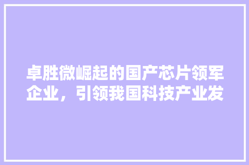 卓胜微崛起的国产芯片领军企业,引领我国科技产业发展新篇章 卓胜微崛起的国产芯片领军企业,引领我国科技产业发展新篇章