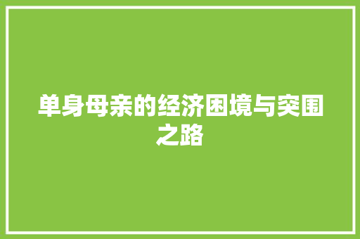 单身母亲的经济困境与突围之路 单身母亲的经济困境与突围之路