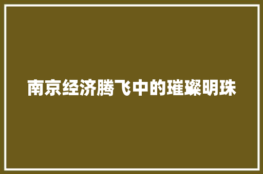 南京经济腾飞中的璀璨明珠 南京经济腾飞中的璀璨明珠