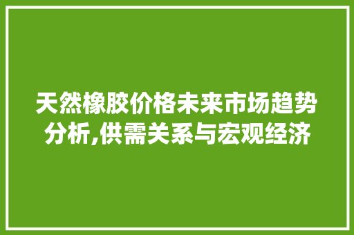 天然橡胶价格未来市场趋势分析,供需关系与宏观经济影响_天然橡胶价格未来市场趋势 天然橡胶价格未来市场趋势分析,供需关系与宏观经济影响_天然橡胶价格未来市场趋势