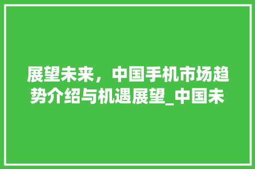 展望未来,中国手机市场趋势介绍与机遇展望_中国未来手机市场趋势 展望未来,中国手机市场趋势介绍与机遇展望_中国未来手机市场趋势