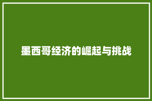 墨西哥经济的崛起与挑战 墨西哥经济的崛起与挑战