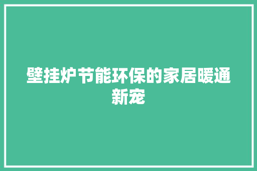 壁挂炉节能环保的家居暖通新宠 壁挂炉节能环保的家居暖通新宠