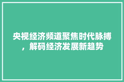 央视经济频道聚焦时代脉搏,解码经济发展新趋势 央视经济频道聚焦时代脉搏,解码经济发展新趋势