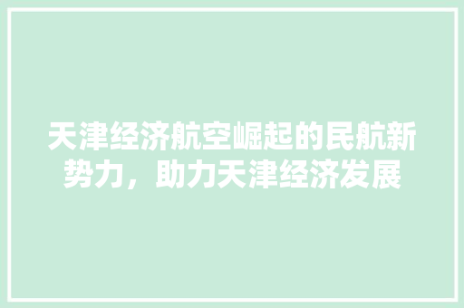 天津经济航空崛起的民航新势力,助力天津经济发展 天津经济航空崛起的民航新势力,助力天津经济发展