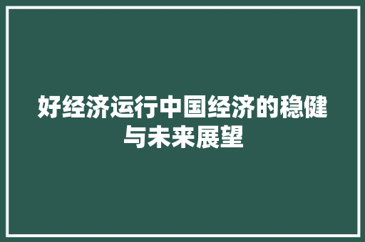 好经济运行中国经济的稳健与未来展望 好经济运行中国经济的稳健与未来展望