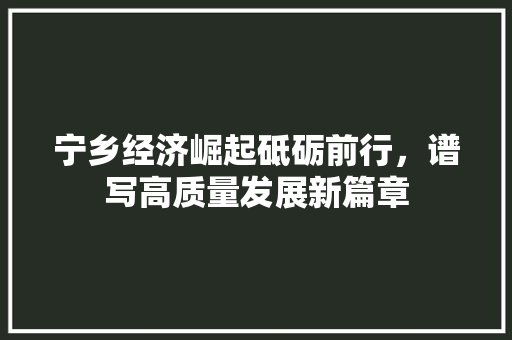 宁乡经济崛起砥砺前行,谱写高质量发展新篇章 宁乡经济崛起砥砺前行,谱写高质量发展新篇章