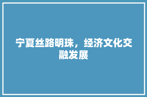 宁夏丝路明珠,经济文化交融发展 宁夏丝路明珠,经济文化交融发展
