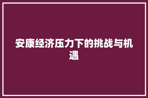 安康经济压力下的挑战与机遇 安康经济压力下的挑战与机遇