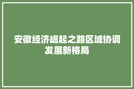 安徽经济崛起之路区域协调发展新格局