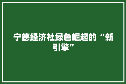 宁德经济社绿色崛起的“新引擎” 宁德经济社绿色崛起的“新引擎”