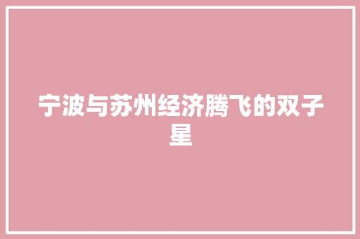 宁波与苏州经济腾飞的双子星